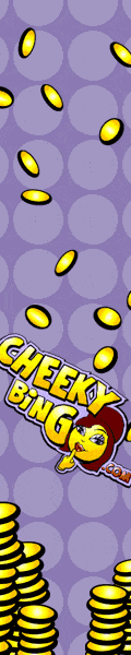 Cheeky Bingo